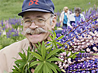 Flower gathering