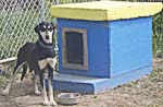 Sled Dog Kennel Tours